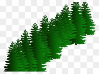 Fir Clipart Evergreen Tree - Transparent Pine Silhouette Tree - Png Download
