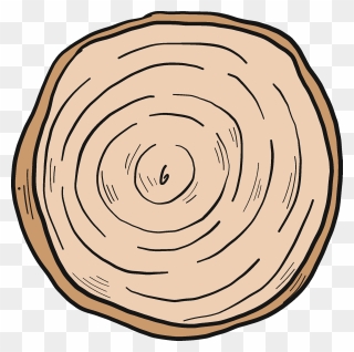 Tree Trunk Clipart - Png Download