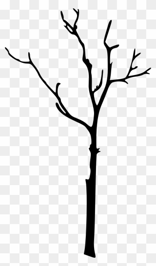Bare Clipart Tree Silhouette - Bare Tree Branch Clipart - Png Download