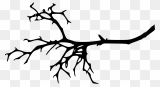 Transparent Tree Silhouette Clipart - Tree Branch Silhouette - Png Download