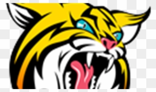 Banner Freeuse Download Bobcat Clipart Tiger - Boca High School Mascot - Png Download