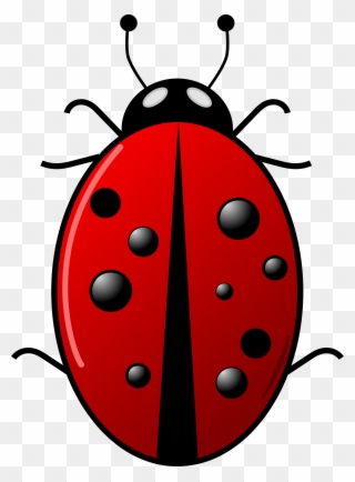 All Photo Png Clipart - Ladybug Clipart Png Transparent Png