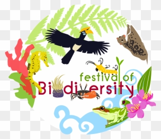 Exhibit Clipart Poster Presentation - Conservation Of Biodiversity Poster - Png Download