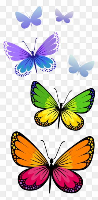 Half Butterfly Cliparts Free Download Clip Art - Png Format Butterfly Clipart Png Transparent Png