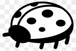 Pix For Black And White Ladybug Clip Art - Ladybug Clip Art - Png Download