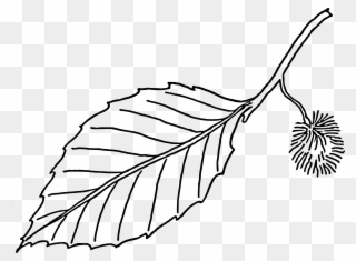 Clipart Leaves Black And White - Leaf In Black And White - Png Download