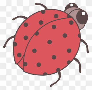 Beetle Clipart Cute - Cute Bug Drawing Png Transparent Png