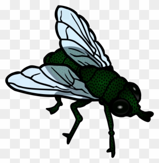 Free To Use & Public Domain Insects Clip Art - Transparent Flies Clip Art - Png Download