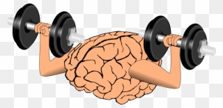 筋 トレ 脳 の 活性 化 Clipart