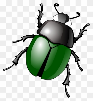 Bug Clip Art Free Clipart Images - Beetle Clipart - Png Download