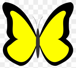 Purple Butterfly Border Clipart - Butterfly In Yellow Colour - Png Download