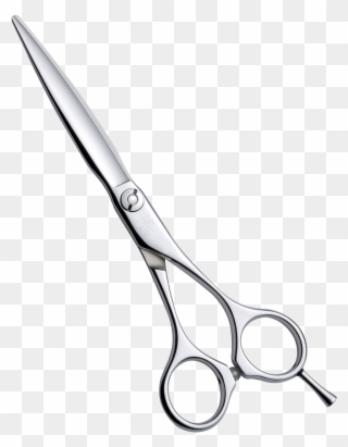 Shears Drawing Shear Clipart