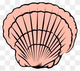 Seashell Image Illustration Of Clipart