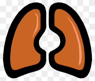 These Need To Be Assessed In Order To Determine If - Lung Clipart