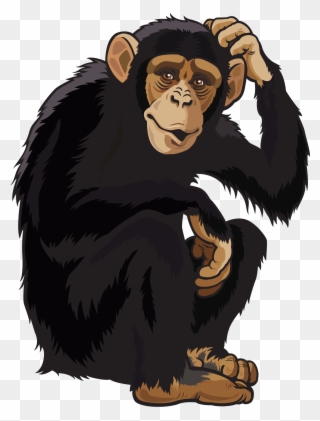 Transparent Monkey Clip Art - What's So Great About Jane Goodall? - Png Download
