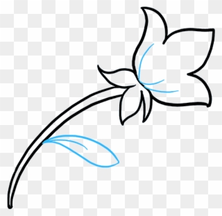 Draw Mothers Day Flower Software Help - Drawing Clipart
