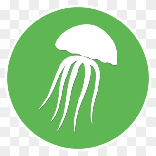 The Jellyfish Perdido Key, Fl - The Jellyfish Restaurant Clipart