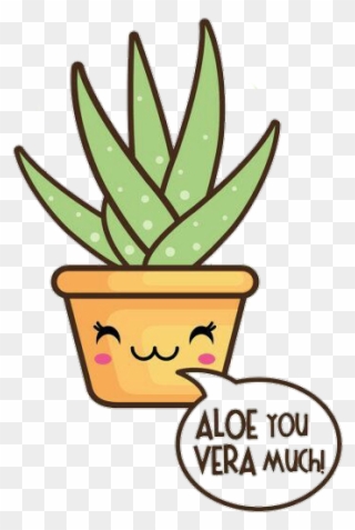 Aloevera Kawaii Plant Cute U Guys Reeeeal - Aloe Vera Drawing Cute Clipart