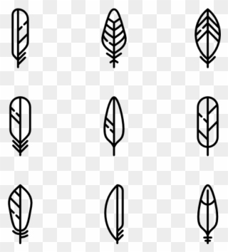 Feathers Set - Drawing Clipart