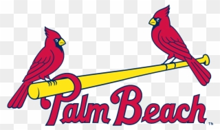 Palm Beach Cardinals Logo Clipart