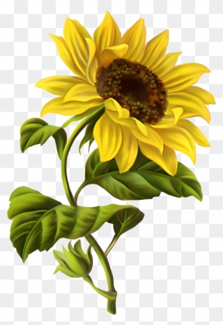 Feeling Of Fall - Sunflower Illustration Clipart