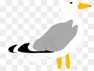 Seagull Clipart Small - Bird Clip Art - Png Download