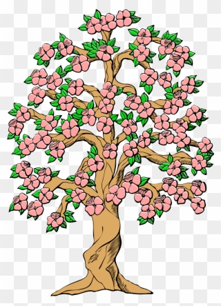 Tree Flowering Dogwood Flowering Plant Branch - Colorful Family Tree Design Clipart