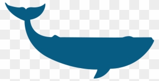 Beluga Clipart Pilot Whale - Moby Dick Vetor - Png Download