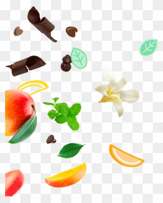 Green Tea - Mochi Ice Cream Clipart