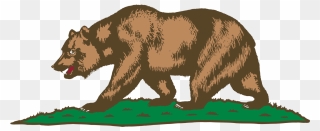 Drawn Grizzly Bear Cali Bear - California Grizzly Bear Drawing Clipart