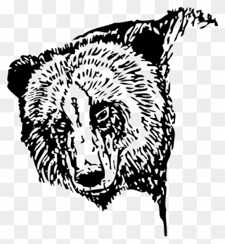 Grizzly Bear Clipart Gray Bear - Transparent Bear Head Silhouette - Png Download