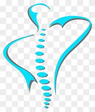 Png Spine Art - Chiropractic Clip Art Spine Transparent Png