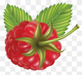 Rraspberry Png Image - Blackberry Cartoon Png Clipart