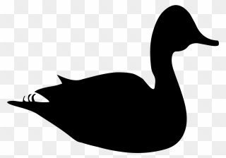 Free Duck Silhouette Cliparts, Download Free Clip Art, - Duck Silhouette Png Transparent Png