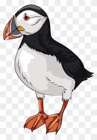 Atlantic Puffin Clipart - Transparent Puffin Clipart - Png Download