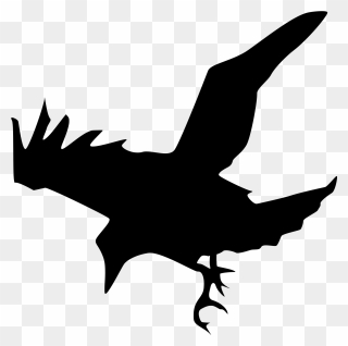 Crow Flying Down Vector Illustration - Raven Silhouette Clipart