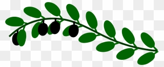 Plant,flora,leaf - Peace Martin Luther King Jr Symbols Clipart