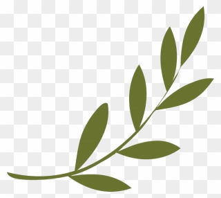 Olive Branch Peace Symbols Olive Wreath - Olive Branch Clipart