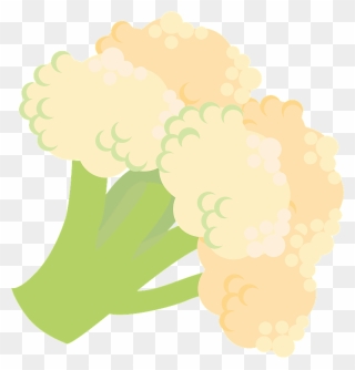 Cauliflower Vegetable Clipart - Illustration - Png Download