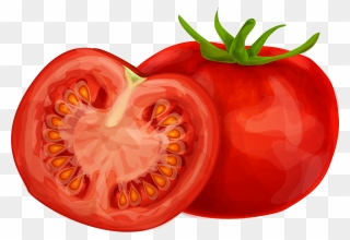 15 Tomato Clipart Png For Free Download On Mbtskoudsalg - Tomato Clipart Transparent Png