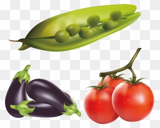 Transparent Tomato Clipart Png - Png Free Vector Tomato