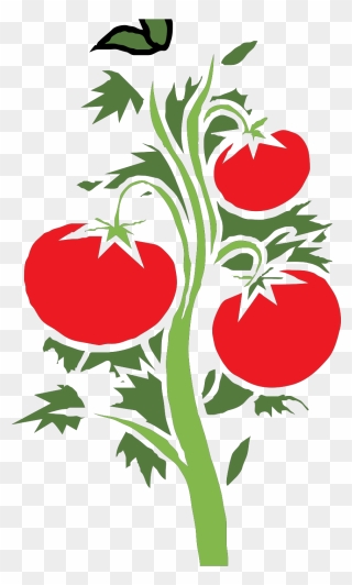 Simple Tomato Plant Clipart - Png Download