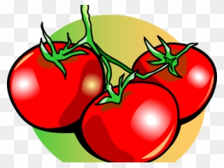 Transparent Tomate Clipart - Tomatoes Clip Art - Png Download