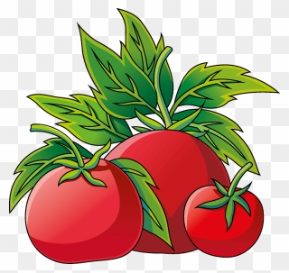 Tomato Clipart - Apple - Png Download
