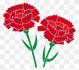 Carnation Red Clip Art - Carnation Clipart - Png Download