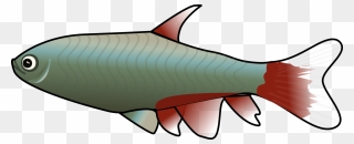 Animated Fish Clipart - Mosquito Fish Clipart - Png Download