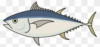 Bigeye Tuna Fish Clipart - Bigeye Tuna Clipart - Png Download