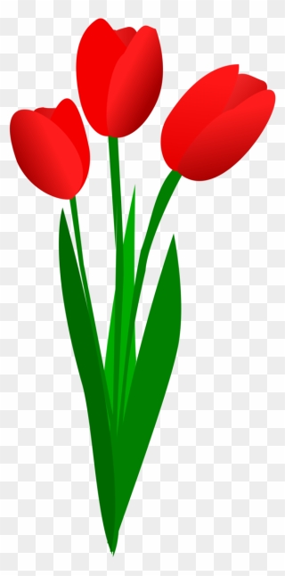 Flower Clipart Tulip - Tulip Clipart - Png Download