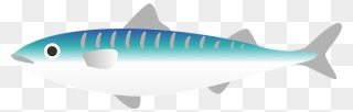 Mackerel Fish Clipart - Tiger Shark - Png Download