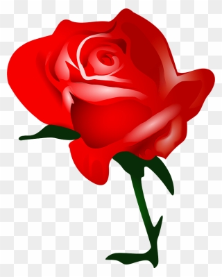 Red Rose Clipart - Cartoon Red Rose - Png Download